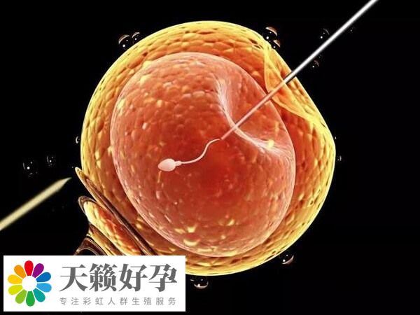 四川省婦女兒童醫(yī)院的成功率在55%以上