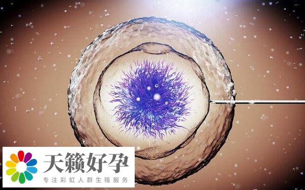 心理狀態(tài)是影響試管成敗的重要因素之一