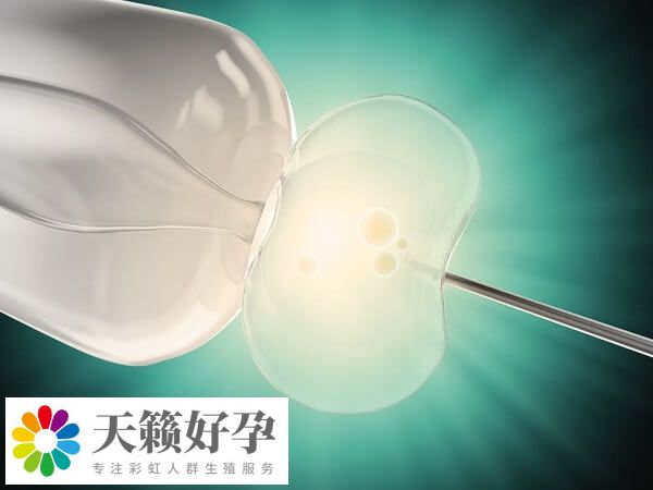 良好生活習(xí)慣有利于試管嬰兒成功