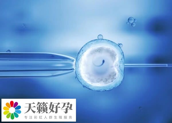 年齡會影響試管嬰兒成功率