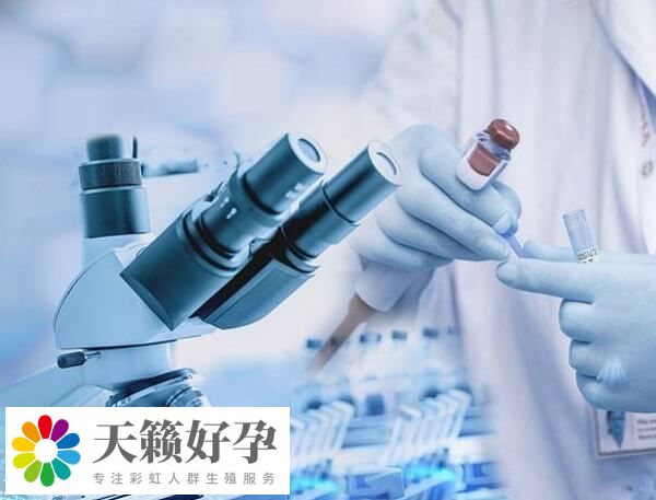 女性體重會影響試管嬰兒成功率