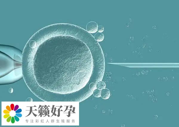 輸卵管切除試管