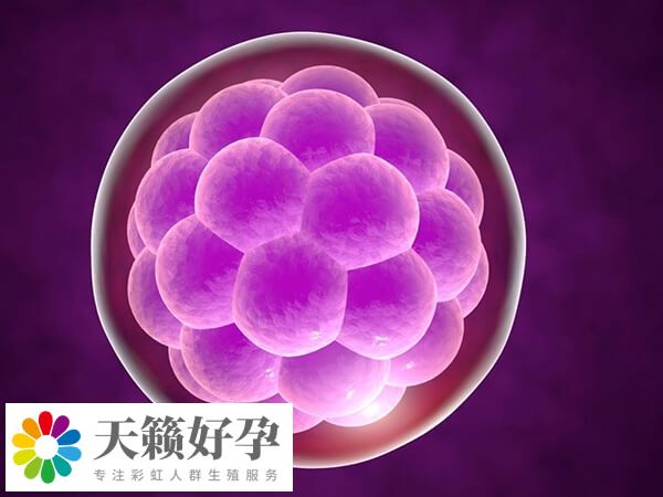 中山市博愛醫院試管嬰兒成功率較高