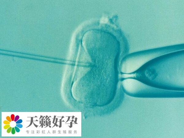 石家莊婦產醫院試管費用