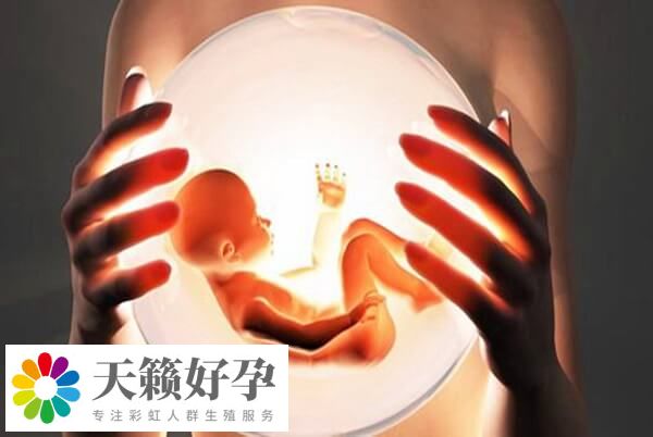 手術(shù)方案是影響試管嬰兒成功率的因素之一