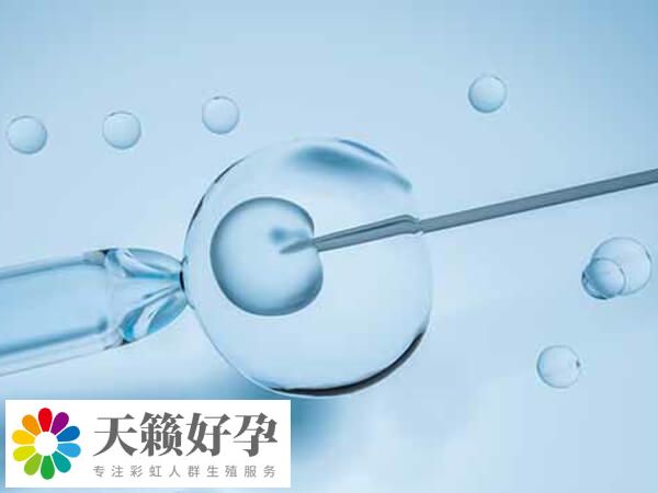 醫院試管費用包括三部分