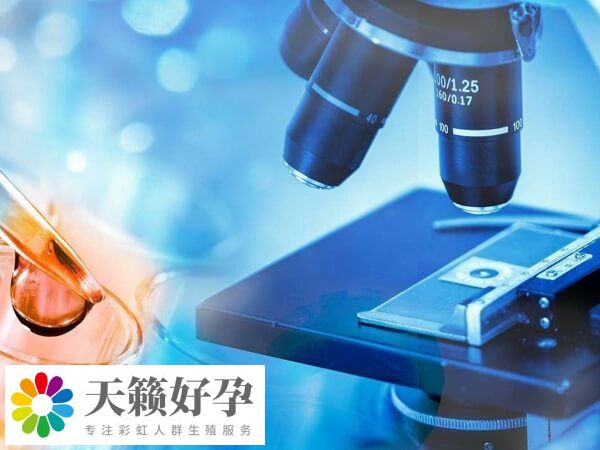 試管嬰兒成功率在40-50%左右