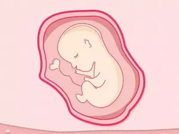 醫院試管成功率