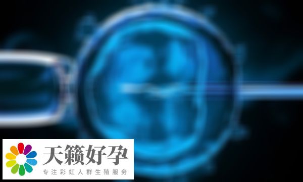 醫(yī)院試管嬰兒成功率