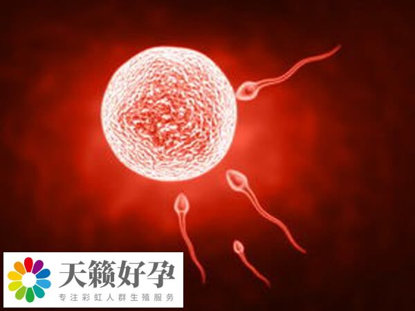 鼓樓醫院試管費用