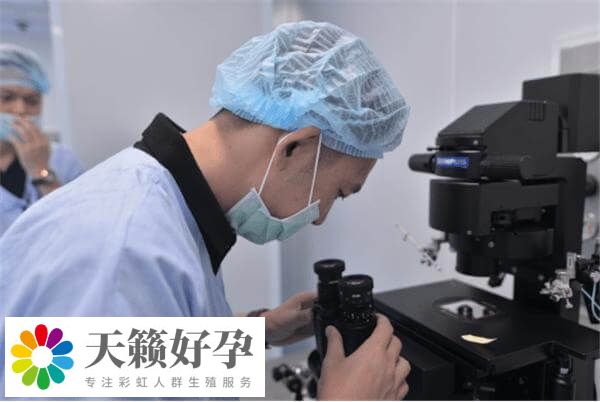 醫院試管單周期費用3萬多