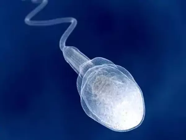 醫院試管嬰兒成功率達50左右%