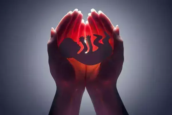 浙江省婦保醫(yī)院試管嬰兒費(fèi)用