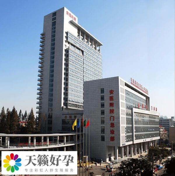安醫(yī)附院生殖中心