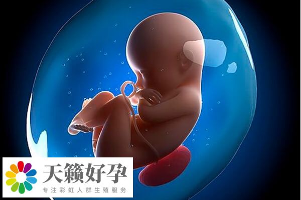 安醫(yī)附院試管嬰兒費用受多種因素影響