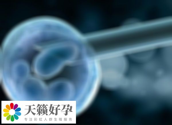 子宮異常會影響試管嬰兒成功率