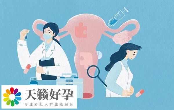 昆華醫(yī)院試管成功率在30%-50%