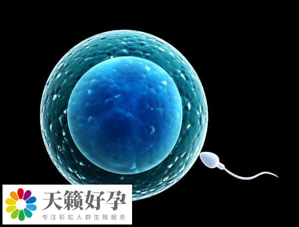 心理狀態會影響到試管嬰兒成功率