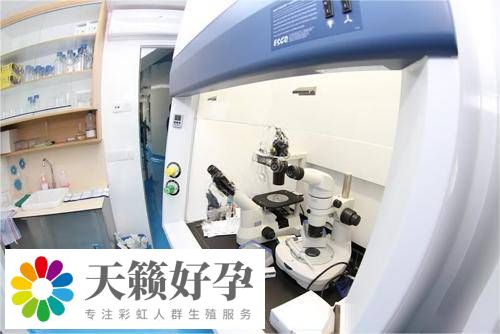 實驗室設備