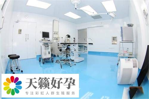 取卵手術室