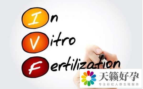 試管嬰兒