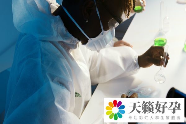 試管雙胞胎和單胎價(jià)格搶先看