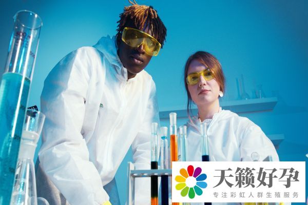 試管雙胞胎和單胎價(jià)格搶先看一文講清試管的費(fèi)用和什么有關(guān)