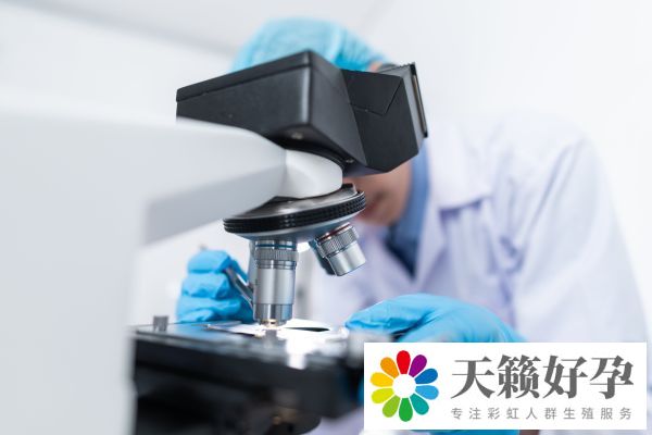 試管嬰兒的全部流程及費(fèi)用