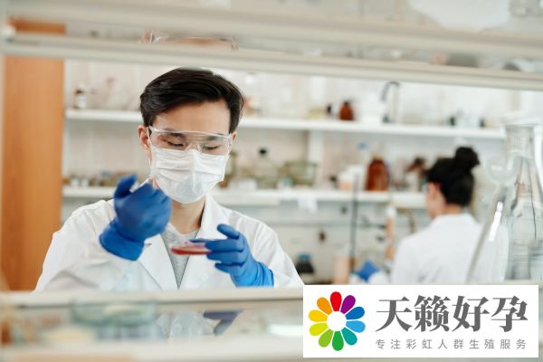 10個(gè)人做試管幾個(gè)能成功