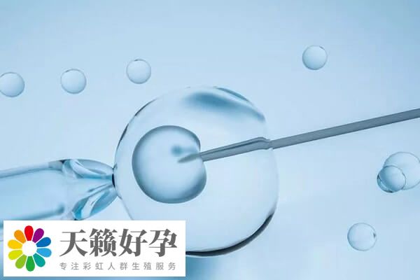 試管移植以后的反應(yīng)因人而異