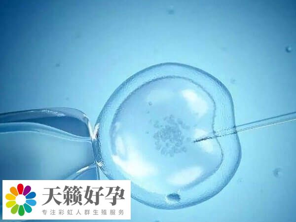 試管嬰兒可能不受精