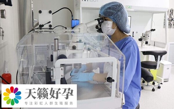 卵子質(zhì)量差會影響受精
