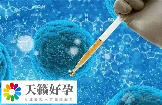 做試管嬰兒選擇醫(yī)院重要嗎，這幾點(diǎn)是必須要了解清楚