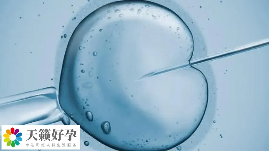 助孕機構做三代試管產子多少錢，費用清單新鮮出爐
