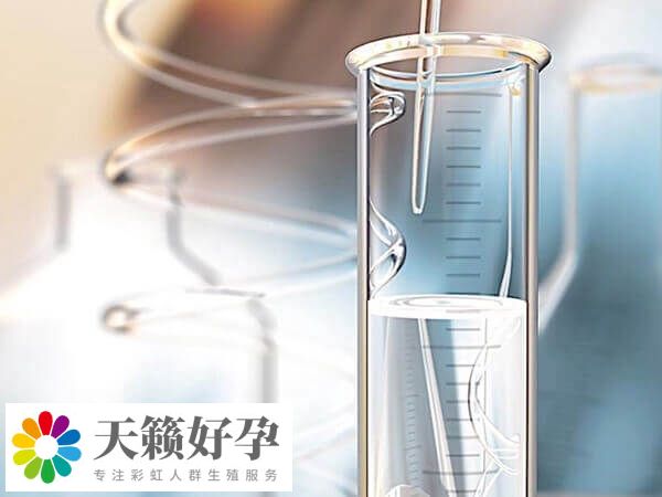 提高卵子質(zhì)量可提高試管成功率