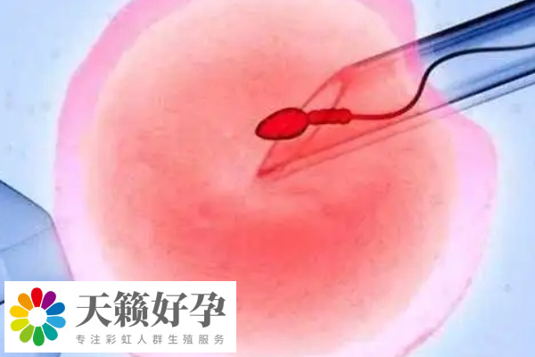 泰國的高齡試管技術(shù)備受關注