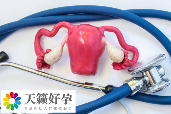 反復胎停做試管成功率在40%-60%