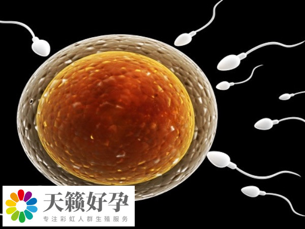 供精必須要人授三次才能做試管