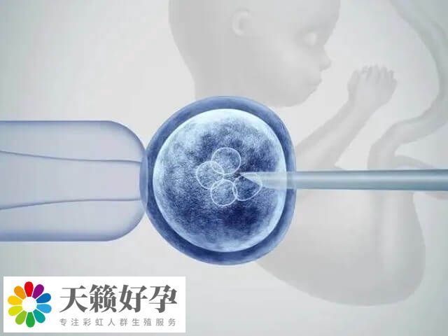 試管嬰兒的次數在理論上沒有嚴格的限制