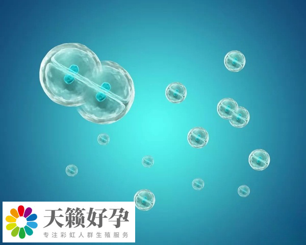 胚胎移植的數量受到嚴格的控制