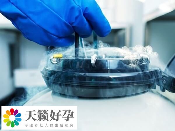 胚胎不進(jìn)行移植可以選擇冷凍保存