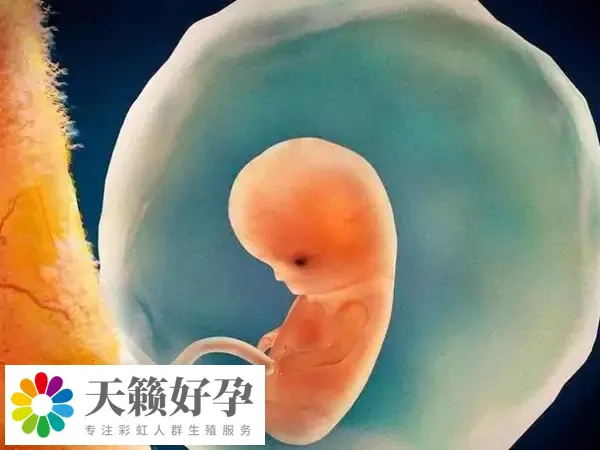 試管嬰兒解凍移植要7000-8000元