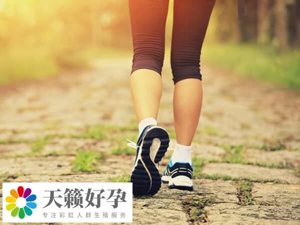 適當(dāng)運動可促進身體血液循環(huán)