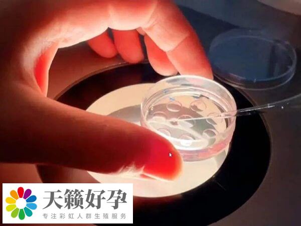 試管移植后胸脹痛可能是藥物所致