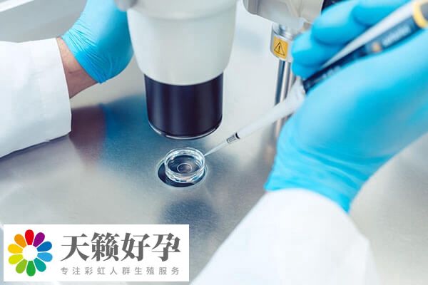 囊胚培養(yǎng)是優(yōu)勝劣汰的方式