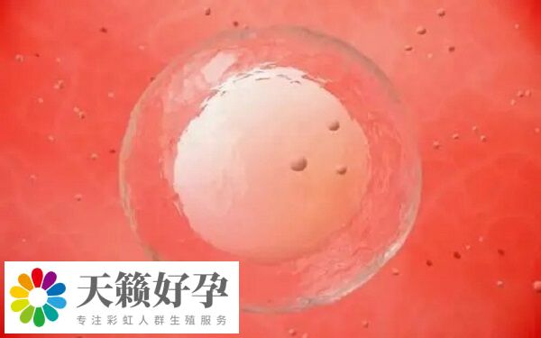 胚胎冷凍適用對(duì)象有哪些