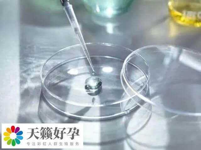 國外進行凍卵收費大概在8-15萬元不等