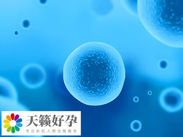 國內可以實施試管嬰兒助孕的機構很多