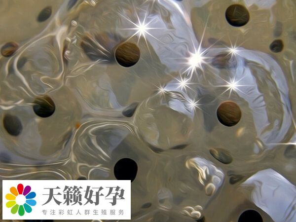 四代試管嬰兒技術又稱卵胞質置換技術GVT