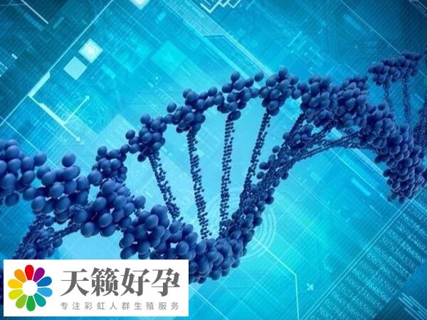 美國第三代試管可合法選擇孩子性別